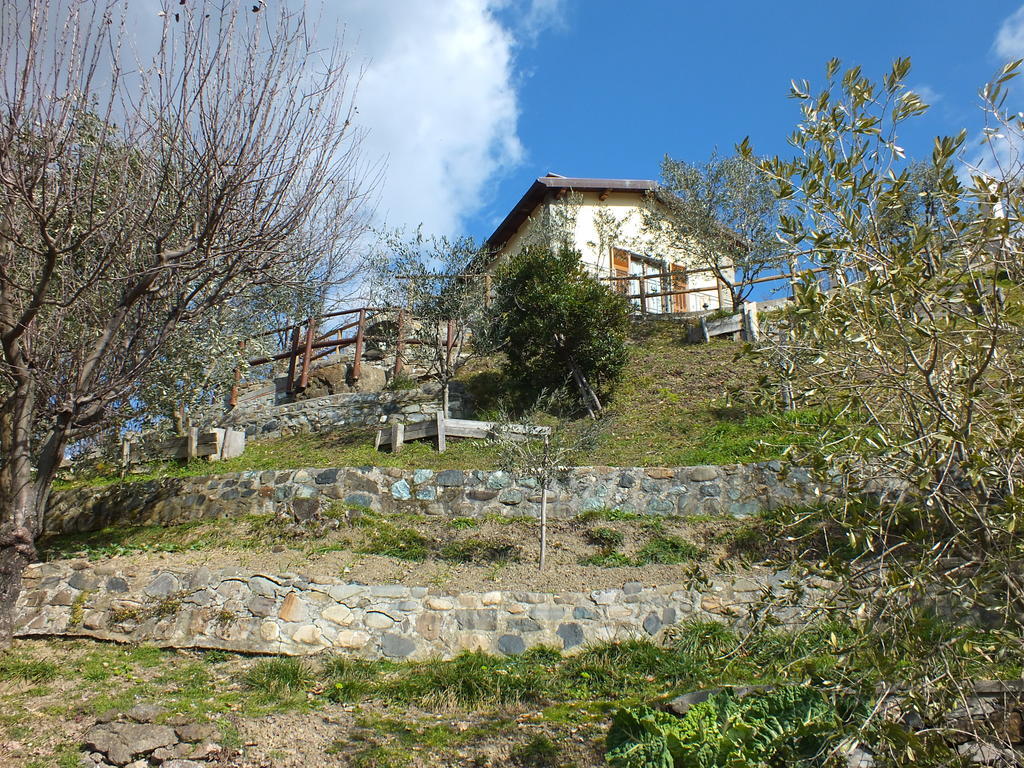 Il Poggio Degli Olivi Villa Serò Buitenkant foto